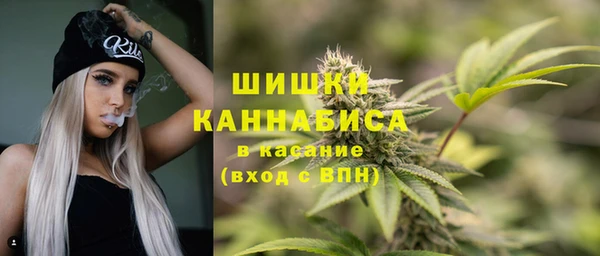 первитин Заводоуковск