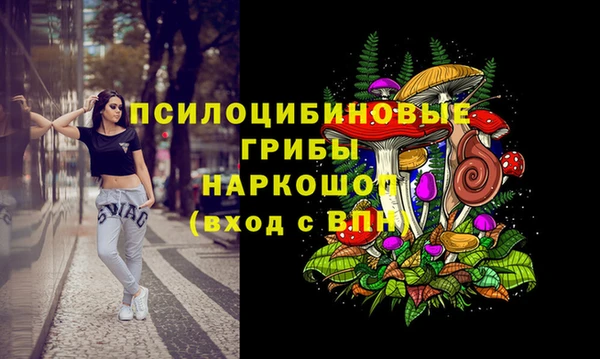 первитин Заводоуковск