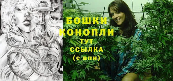 первитин Заводоуковск