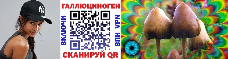 Галлюциногенные грибы Psilocybe  Купить закладки  Сясьстрой 